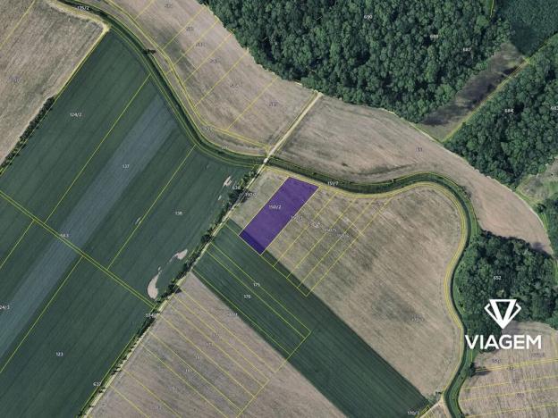 Prodej podílu pole, Střížovice, 667 m2