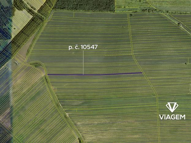 Prodej podílu pole, Javorník, 2710 m2