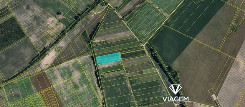 Prodej podílu pole, Moravský Žižkov, 2017 m2