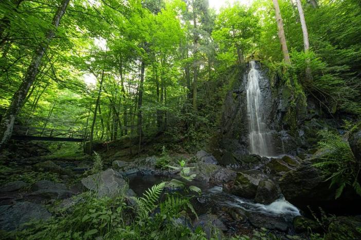 Prodej ubytování, Nové Hrady, 880 m2