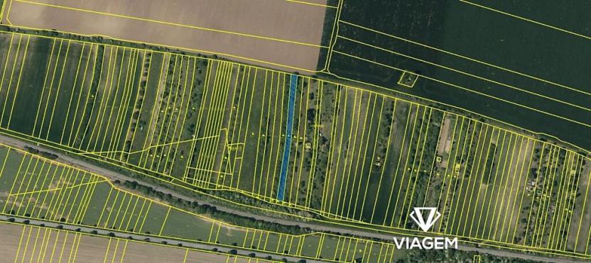 Prodej zahrady, Němčice nad Hanou, 1593 m2