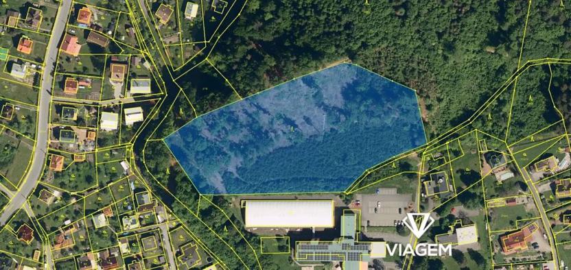 Prodej lesa, Rožnov pod Radhoštěm, 16307 m2