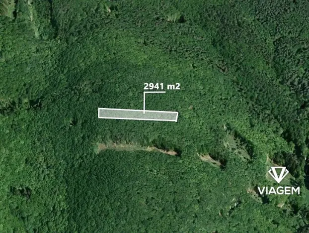 Prodej podílu lesa, Brno, 2941 m2