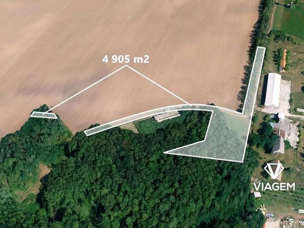 Prodej podílu pole, Čejkovice, 1226 m2