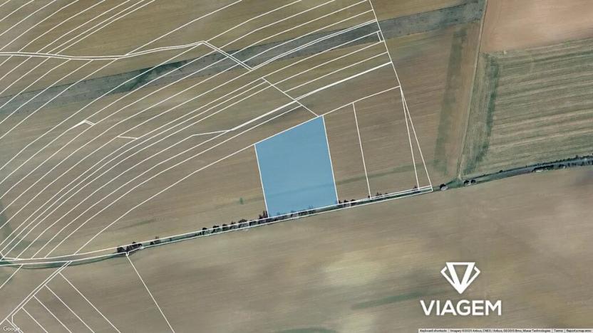 Prodej podílu pole, Zborovice, 1191 m2