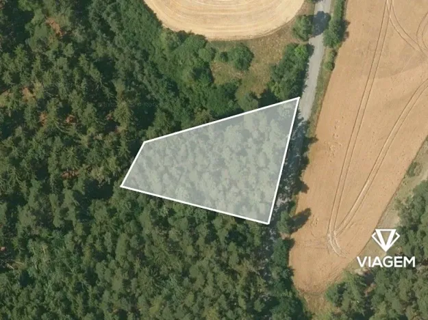 Prodej podílu lesa, Manětín, 1114 m2