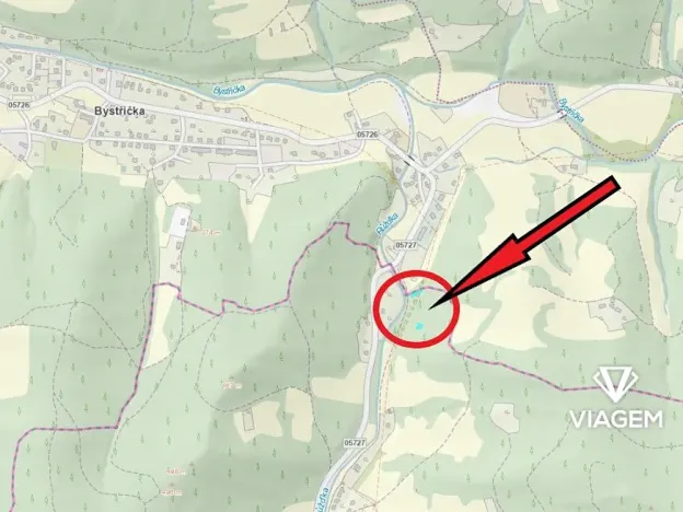 Prodej lesa, Růžďka, 518 m2