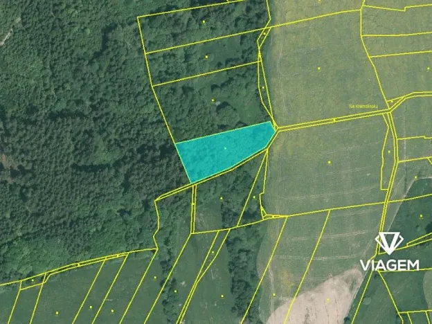 Prodej podílu pole, Nový Kramolín, 643 m2