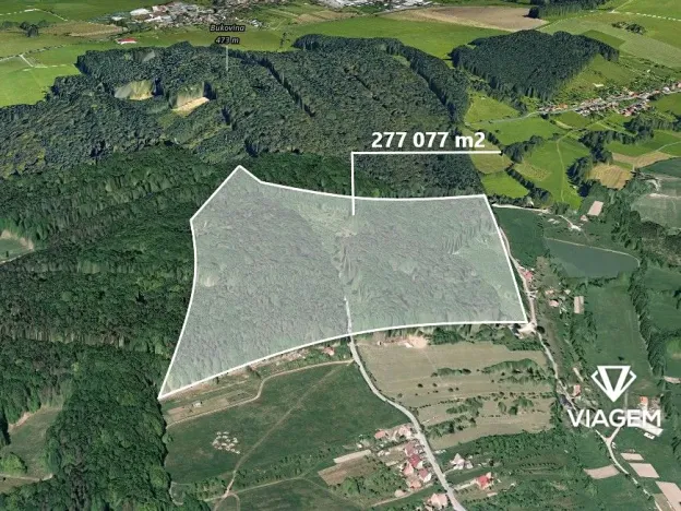 Prodej podílu lesa, Šanov, 2432 m2