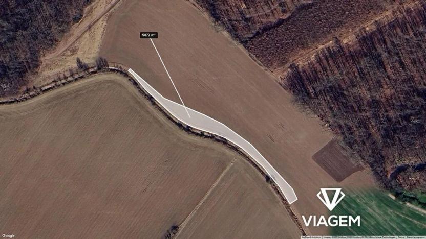 Prodej podílu pole, Střížovice, 979 m2