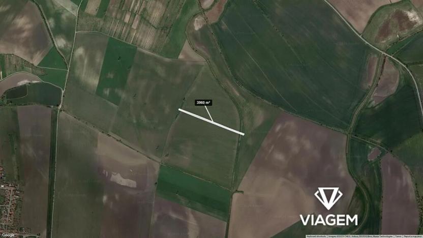 Prodej podílu pole, Brumovice, 1980 m2