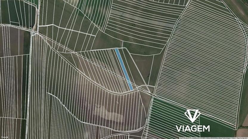 Prodej podílu pole, Brumovice, 2390 m2