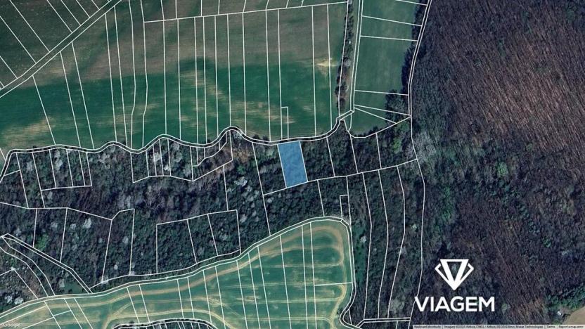 Prodej podílu pole, Újezdec, 807 m2