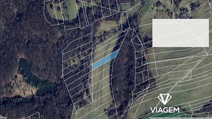 Prodej podílu pole, Biskupice, 479 m2