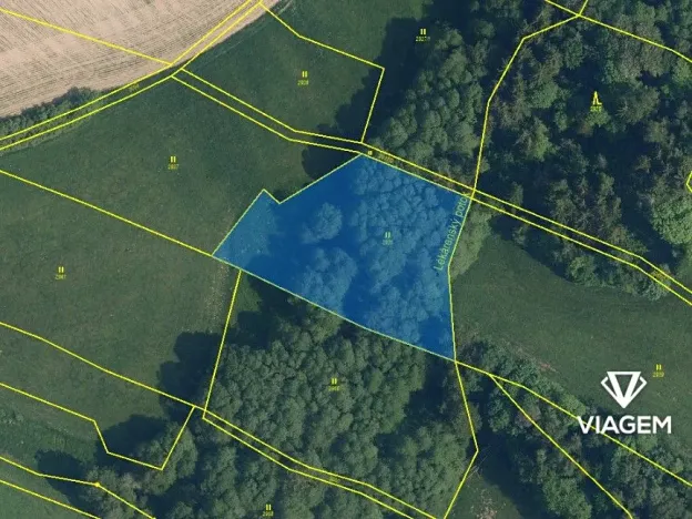 Prodej podílu lesa, Roprachtice, 684 m2