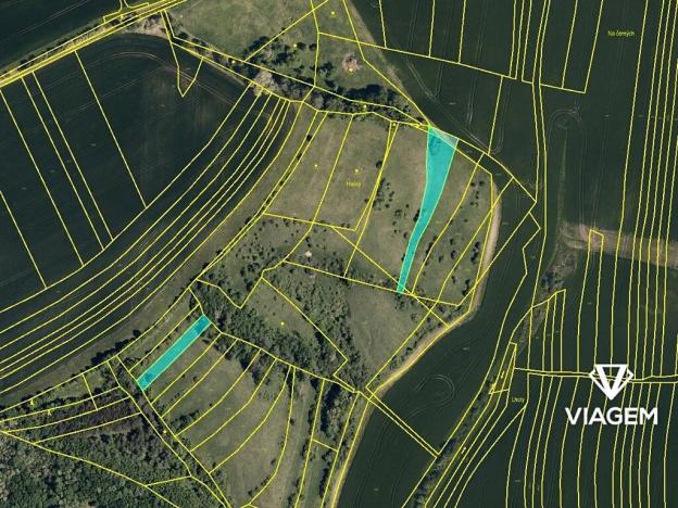 Prodej podílu pole, Nevojice, 1299 m2