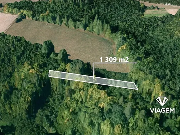 Prodej lesa, Těškovice, 1309 m2