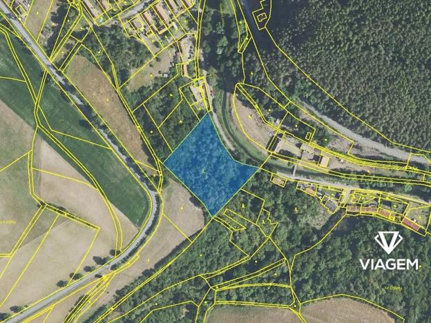 Prodej podílu lesa, Chlum, 1311 m2