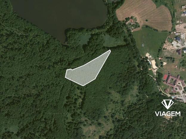 Prodej podílu lesa, České Budějovice, České Vrbné, 1852 m2