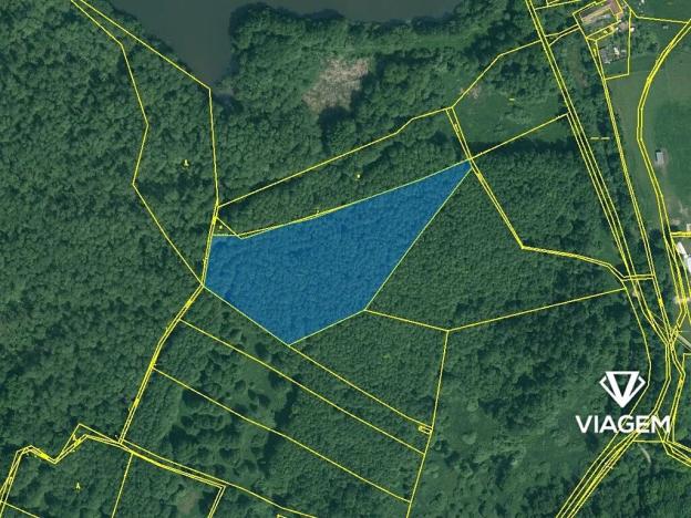 Prodej podílu lesa, České Budějovice, České Vrbné, 1852 m2