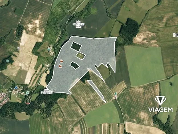 Prodej podílu lesa, Žeravice, 11303 m2