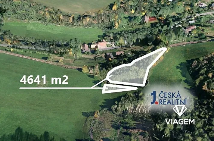 Prodej lesa, Stará Paka, 4641 m2