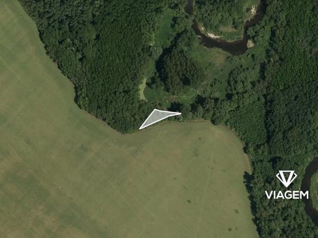 Prodej lesa, Slup, 443 m2