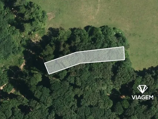 Prodej podílu lesa, Březová, 464 m2