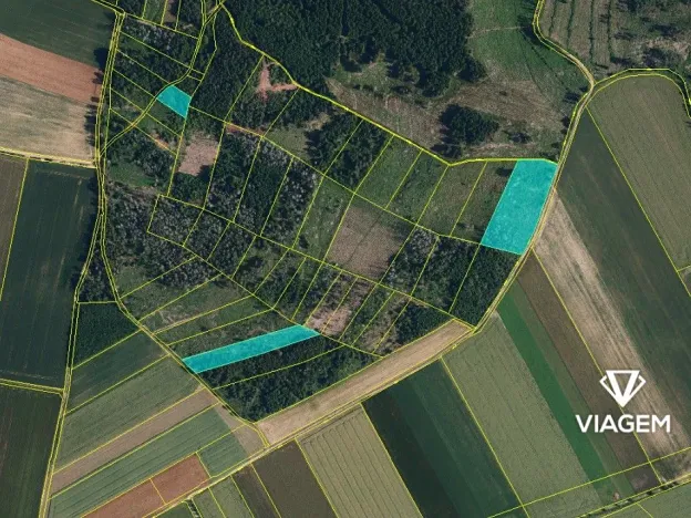 Prodej podílu lesa, Radkovice u Budče, 13191 m2