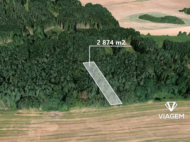 Prodej lesa, Hradiště, 2874 m2