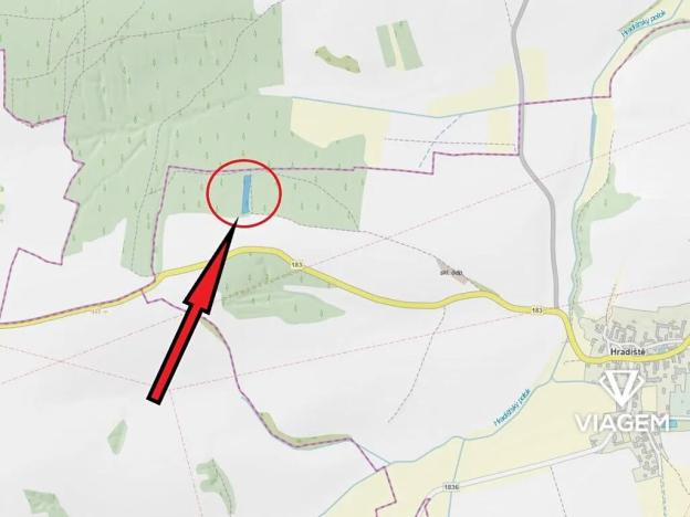 Prodej lesa, Hradiště, 2874 m2