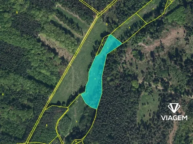 Prodej podílu pole, Morašice, 3959 m2