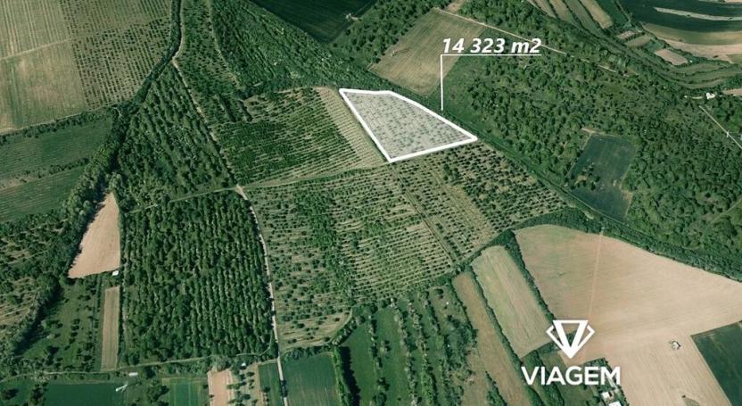 Prodej podílu sadu/vinice, Želešice, 511 m2