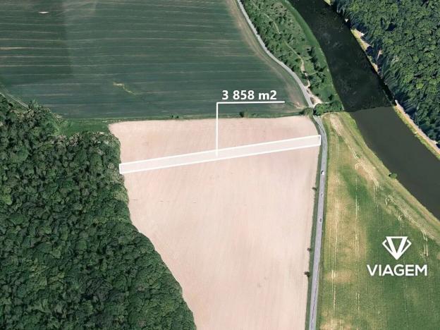 Prodej podílu lesa, Bělov, 964 m2