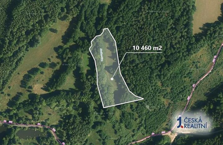 Prodej louky, Sokolov, 10460 m2