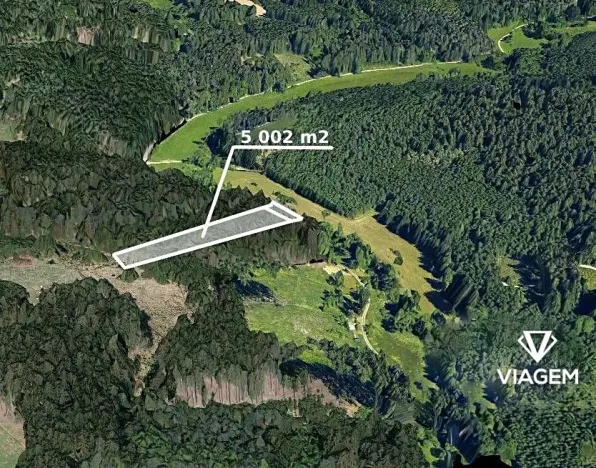 Prodej podílu lesa, Baliny, 3334 m2