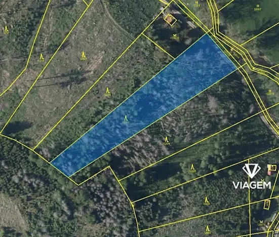 Prodej podílu lesa, Baliny, 3334 m2