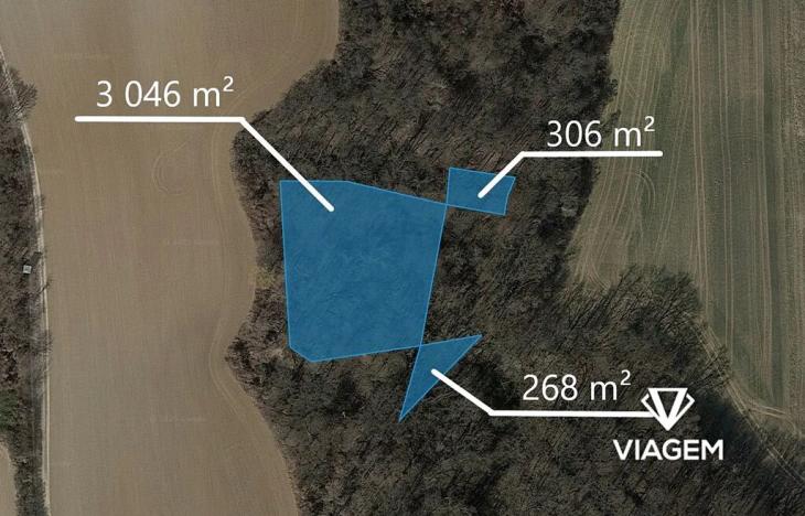 Prodej podílu lesa, Kudlovice, 4108 m2