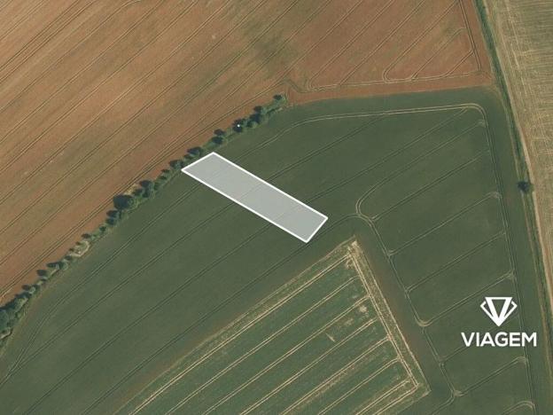 Prodej lesa, Bernartice nad Odrou, 2271 m2