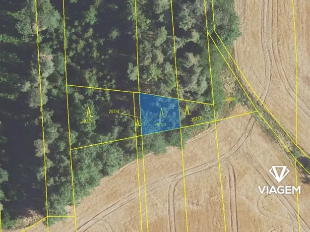 Prodej lesa, Malinová, 233 m2