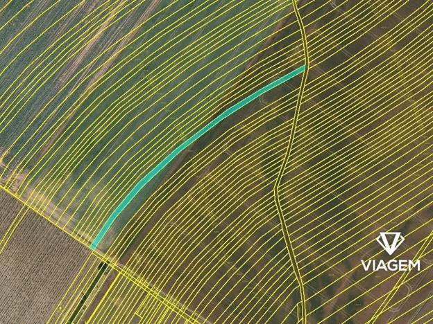 Prodej podílu pole, Kuchařovice, 1317 m2