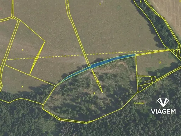 Prodej podílu lesa, Čím, 13775 m2