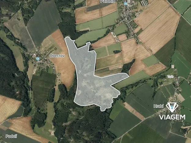 Prodej podílu lesa, Palonín, 94082 m2