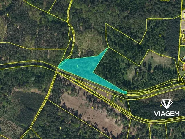 Prodej podílu lesa, Dašice, 3483 m2