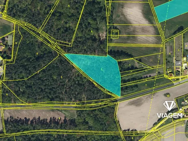 Prodej podílu lesa, Dašice, 5360 m2