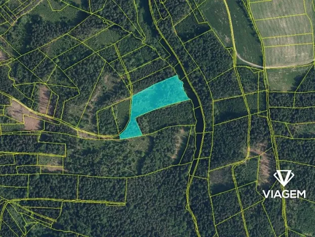 Prodej podílu lesa, Železný Brod, 27889 m2