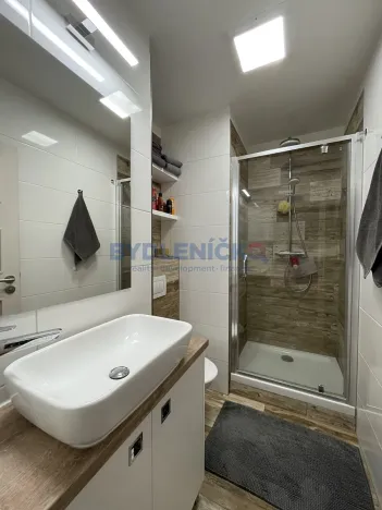 Pronájem bytu 2+1, České Budějovice, J. Plachty, 49 m2