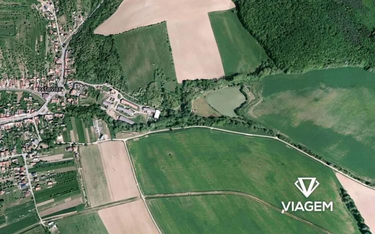 Prodej podílu zahrady, Pašovice, 771 m2