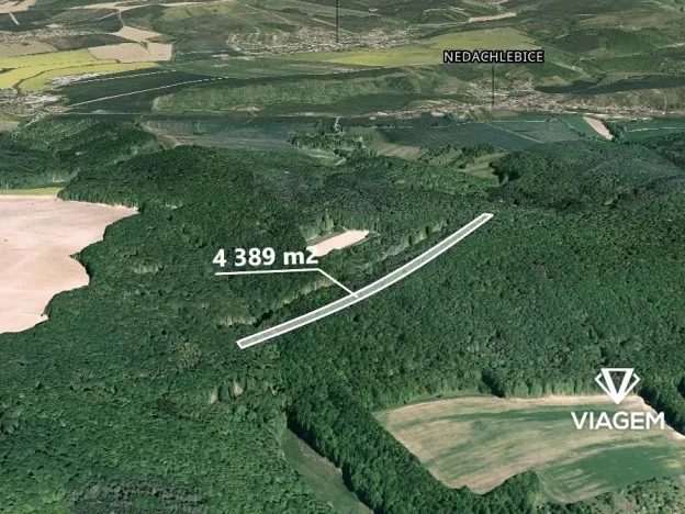 Prodej podílu lesa, Mistřice, 1097 m2