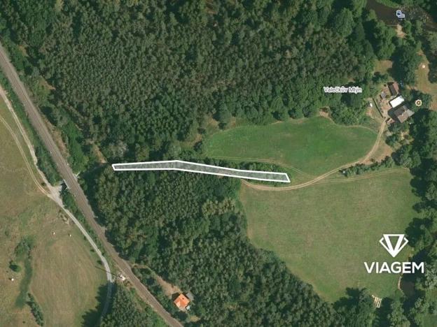 Prodej lesa, Svojšín, 2777 m2